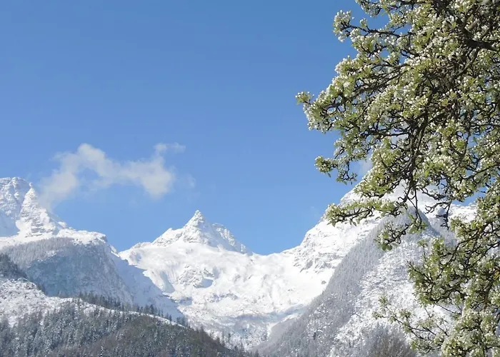 Stockklauser Apartament *